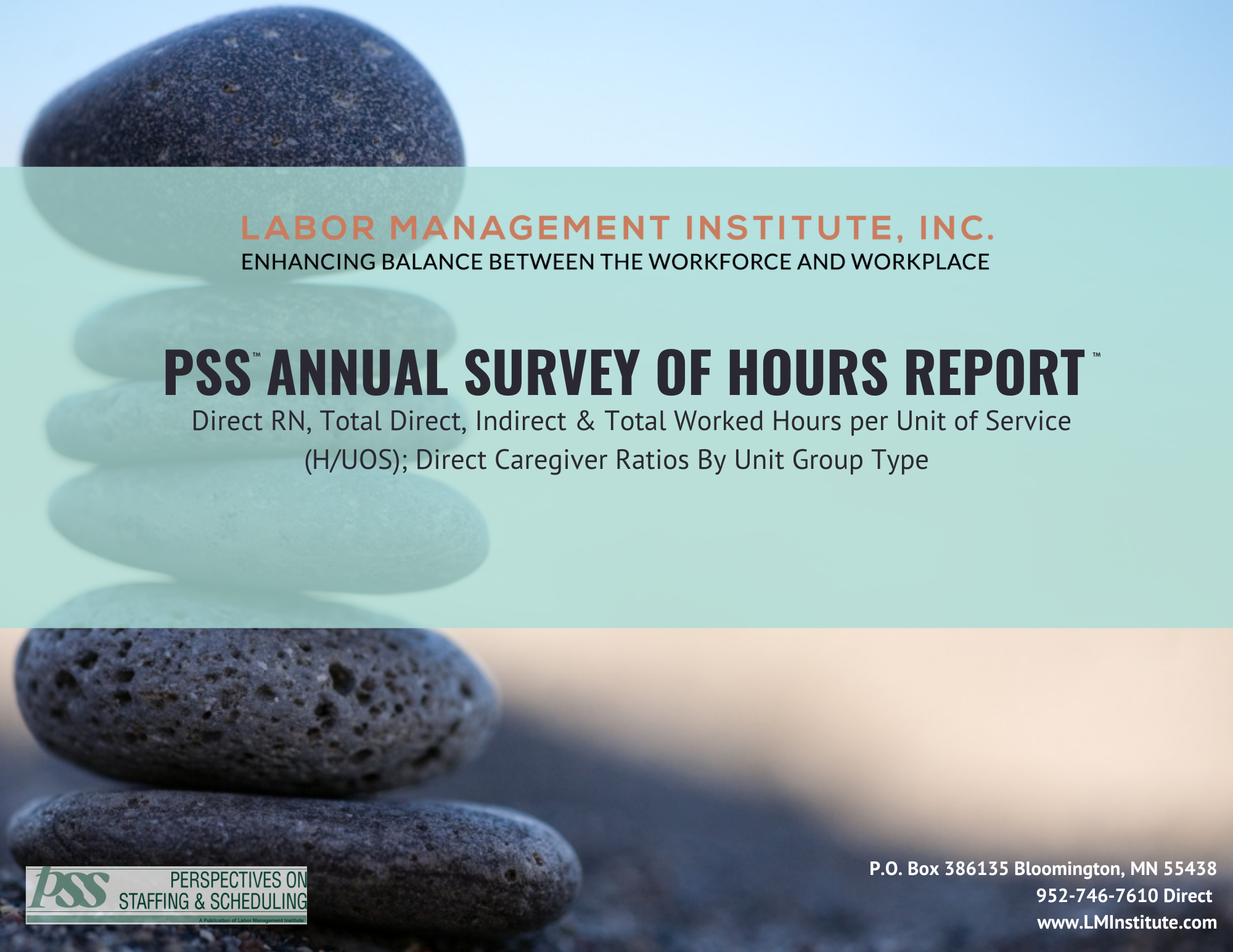 Annual Survey of Hours Report - Electronic